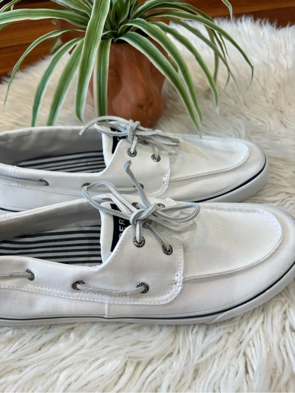 Sperry classic canvas